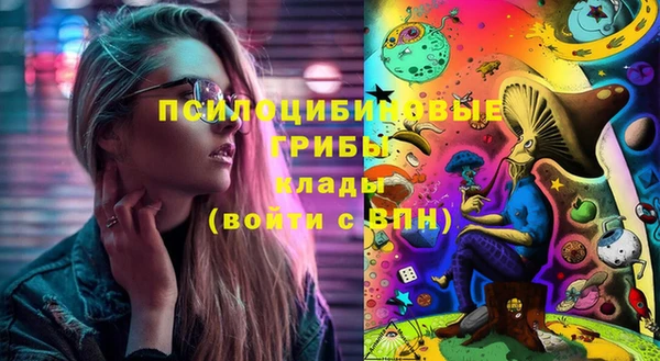 спиды Каменка
