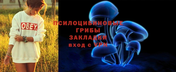 спиды Каменка