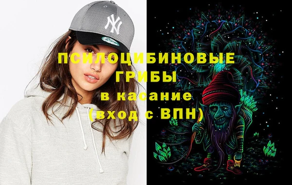 спиды Каменка