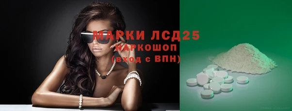 спиды Каменка