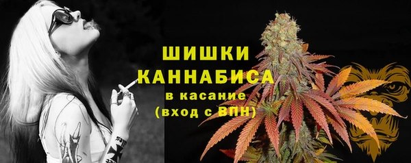 a pvp Каменногорск