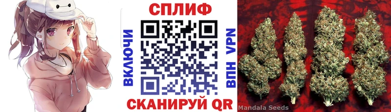 Конопля SATIVA & INDICA  Купить закладки  Зверево 
